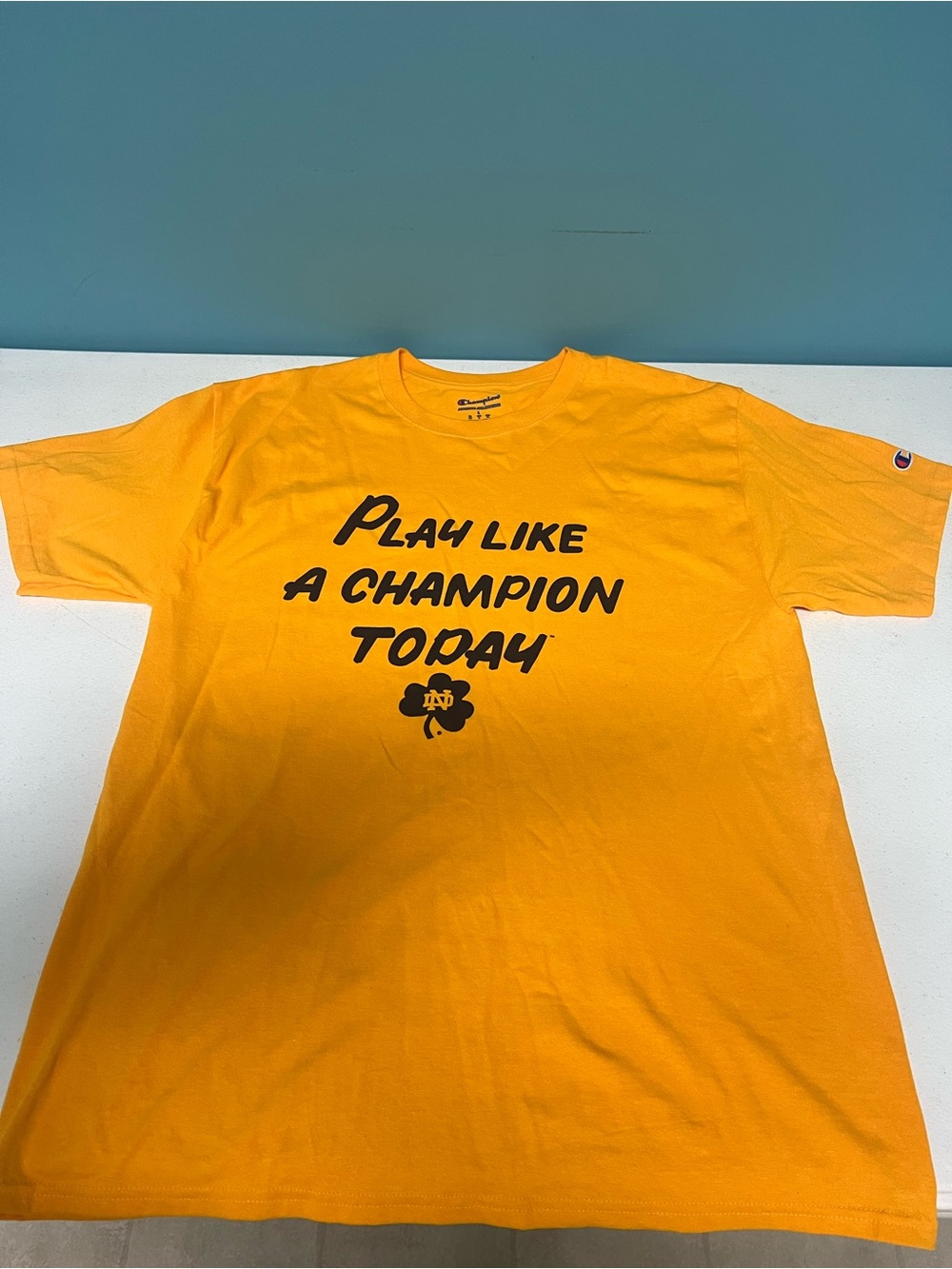 Notre Dame champion brand football T-shirt. Size large.
